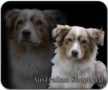 Mousepad Australian Shepherd #12